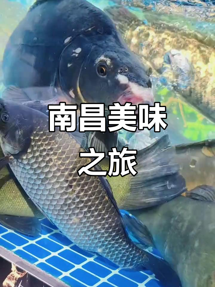 南昌美食,云南风味超值,吃遍街头不虚此行!