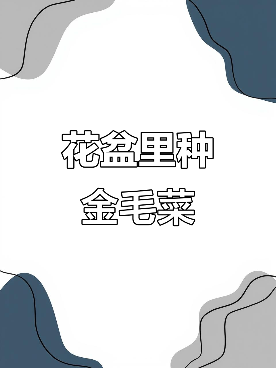 家里花盆种鸡毛菜,三五天出苗,二十天就能收获新鲜美味