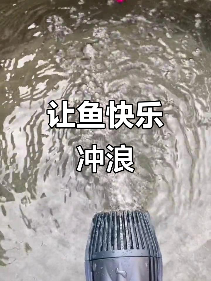 鱼儿冲浪不再难，制氧机也能省掉