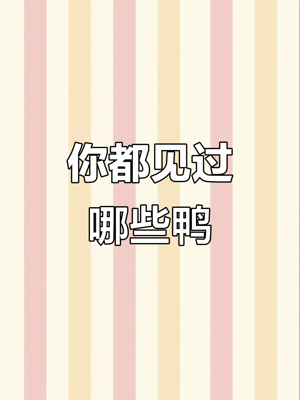 认识这些奇特的鸭子，你都能叫出名字吗？