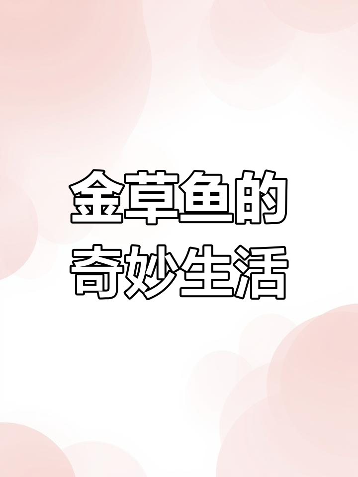 俄罗斯金草鱼,植物为主食,最大可达35公斤