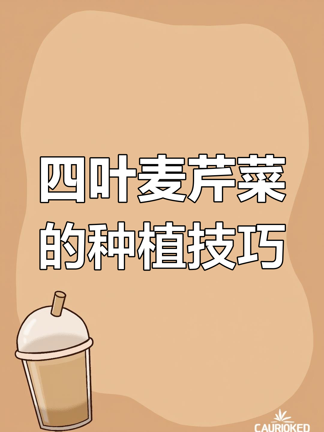 空心芹菜品种大揭秘,四叶麦如何表现?