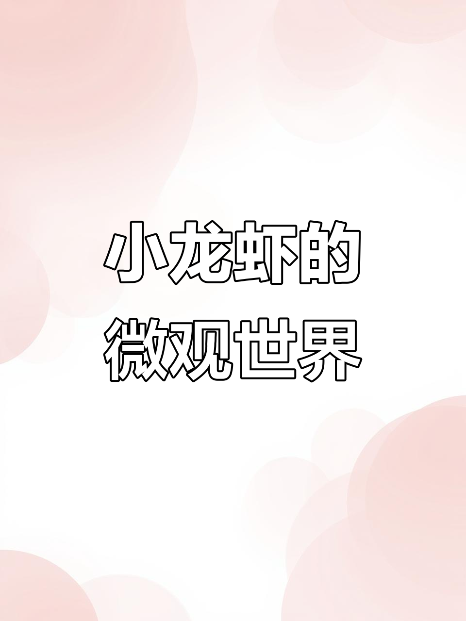 显微镜下的小龙虾,竟然这么可爱!