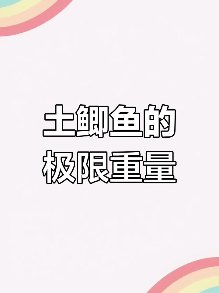 野生鲫鱼能长多大?最大体重竟超一斤!