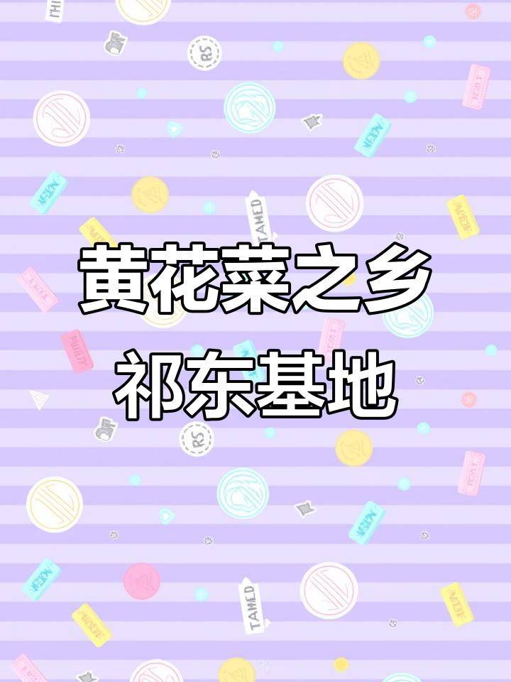 探访湖南祁东黄花菜生产基地,了解中国黄花菜的故乡