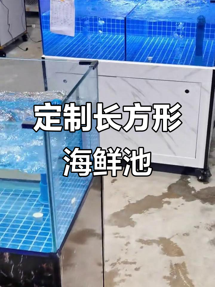 长方形海鲜鱼缸设计,楼梯间走廊都能放