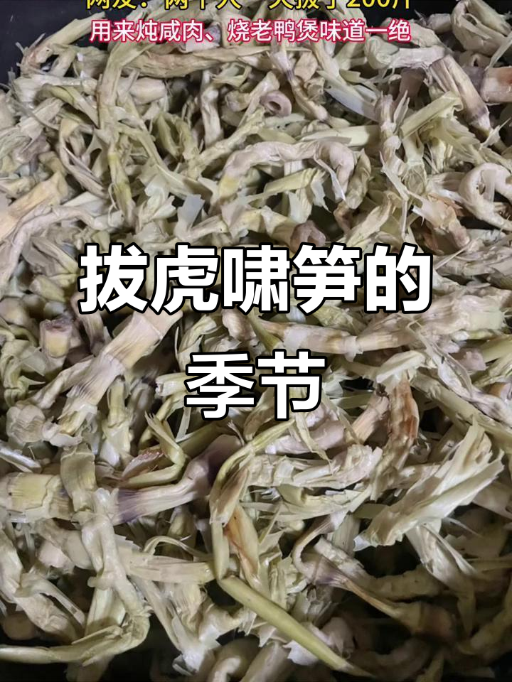 萧山虎啸笋季来临,炖咸肉烧老鸭煲味道绝了