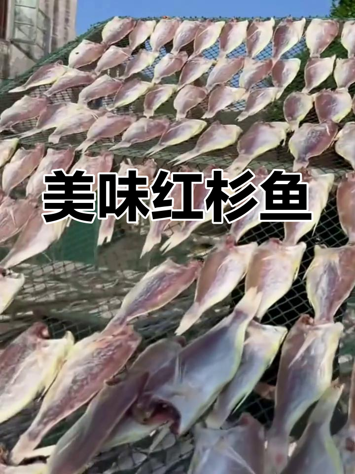 红杉鱼煎至金黄,外脆内嫩,搭配粥饭绝妙!