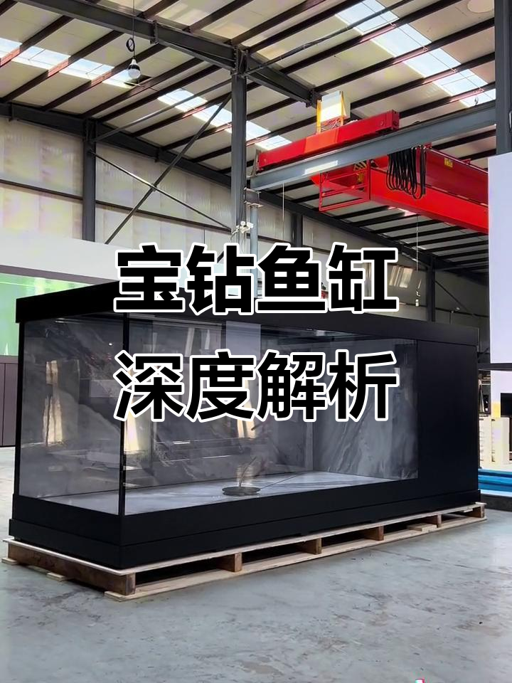 宝钻鱼缸深度解析