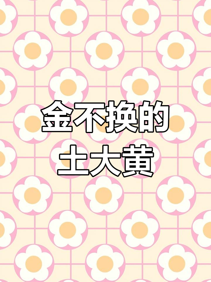 土大黄:路边金不换,牛羊不吃却有神奇作用