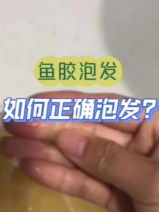 如何正确泡发鱼胶?