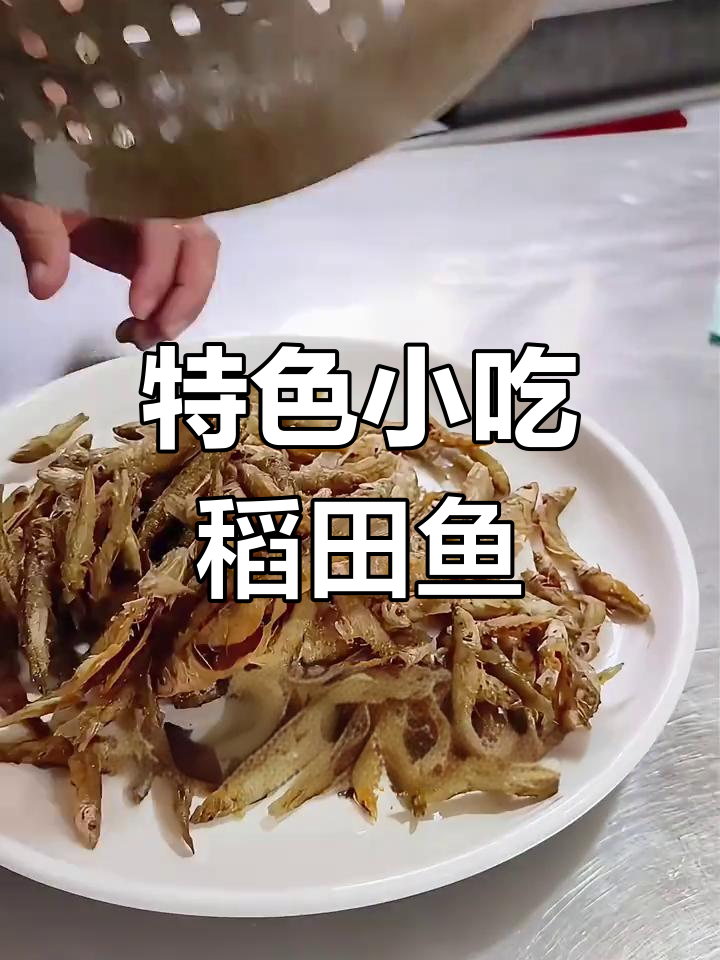 稻田小鱼,美味不可错过