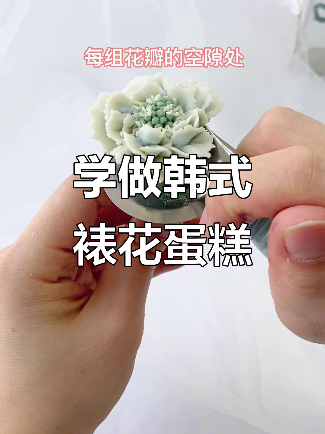韩式裱花蛋糕技巧大揭秘，轻松做出完美花朵
