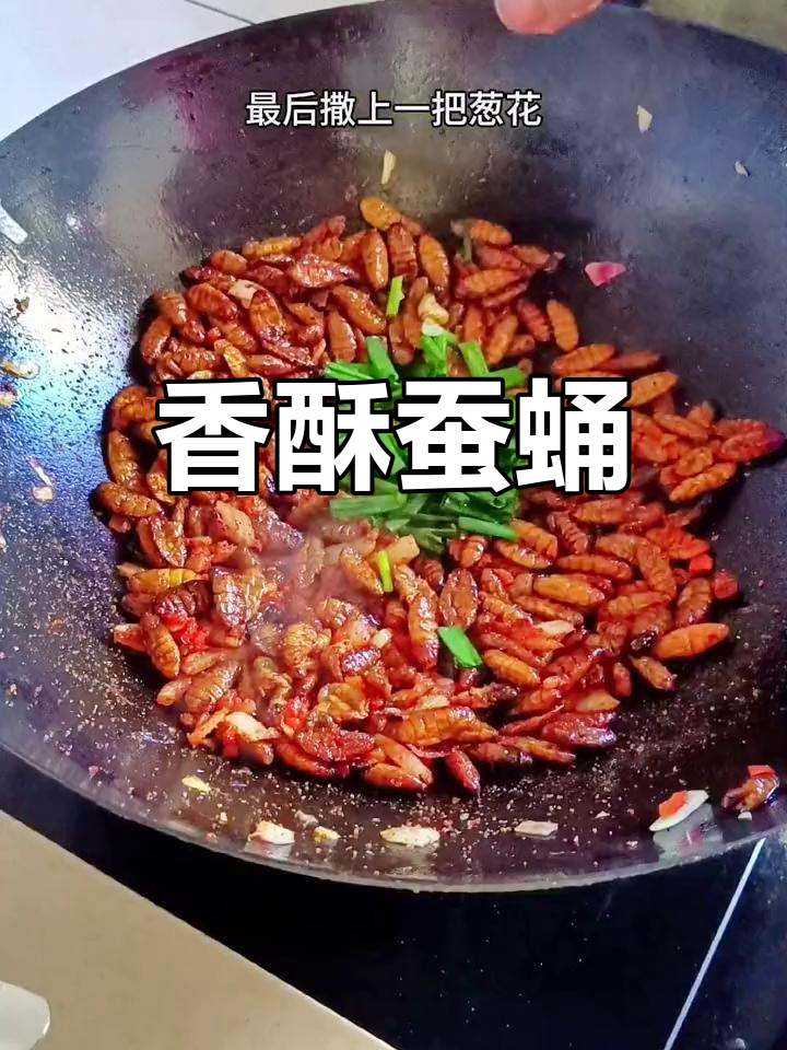 炒蚕蛹的完美做法,外脆内嫩不崩油