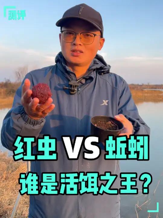 红虫蚯蚓谁更强?实测冬季野钓活饵谁称王?