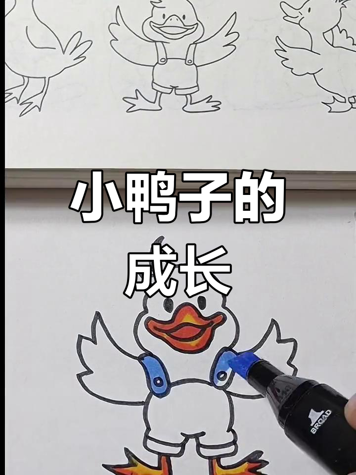 从零基础到小鸭子简笔画,进步超乎想象!