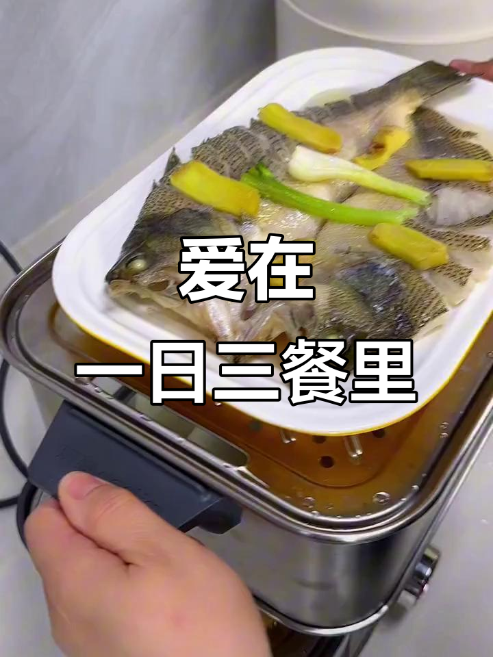 生活中的简单美好,东菱电蒸锅让每一餐都充满爱