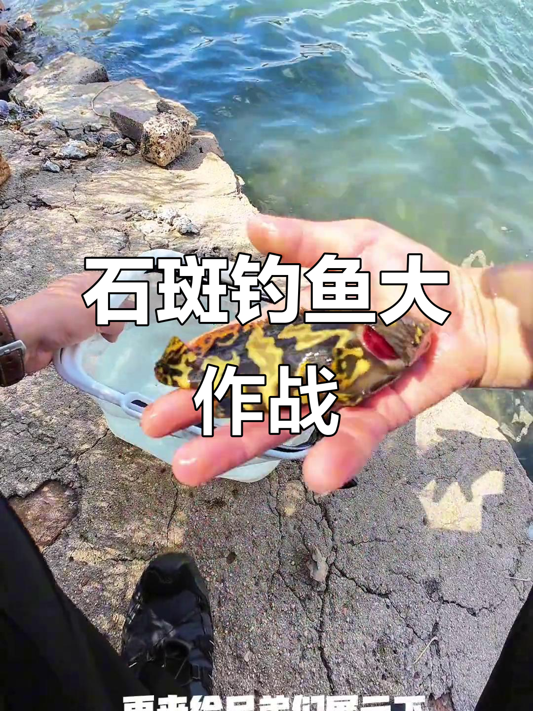 秦皇岛钓石斑,急流中挑战鳜鱼新技巧