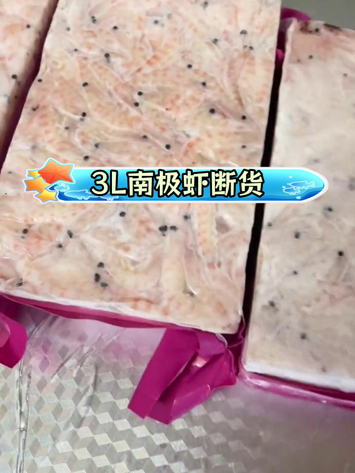 南极虾钓砖热销,大条难寻