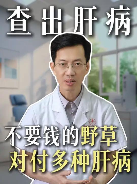 查出肝病不要怕，不要钱的野草煮水喝