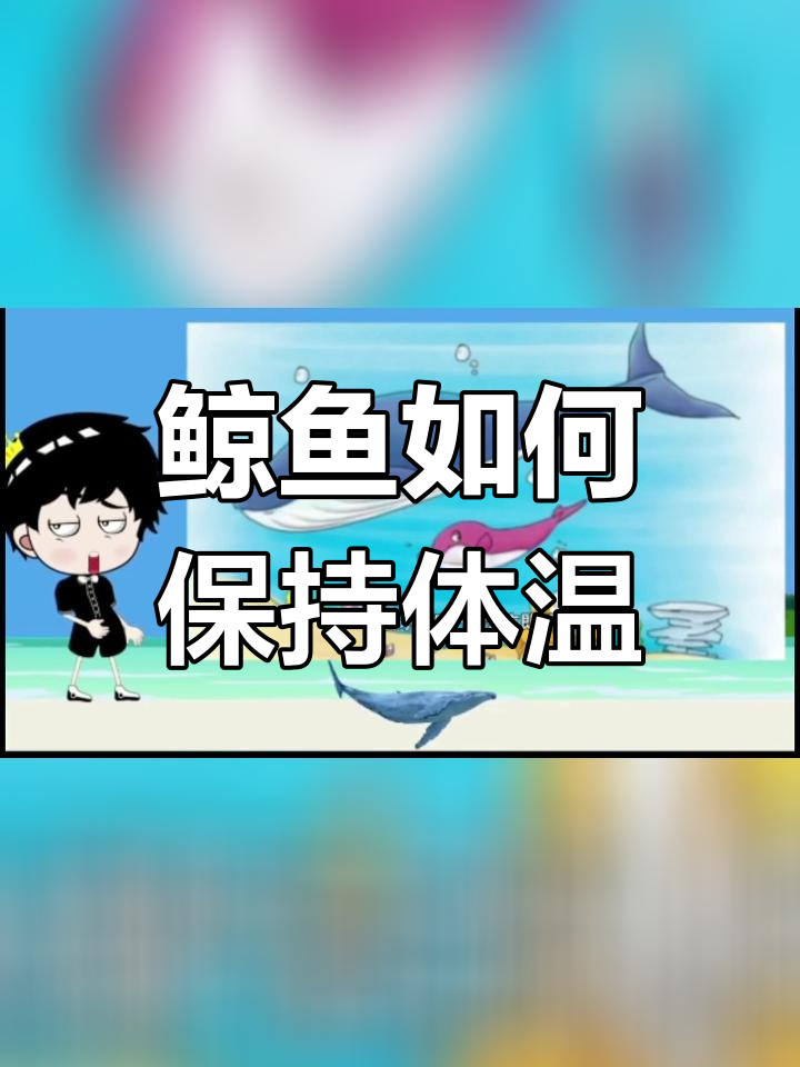 鲸鱼的独特游泳方式