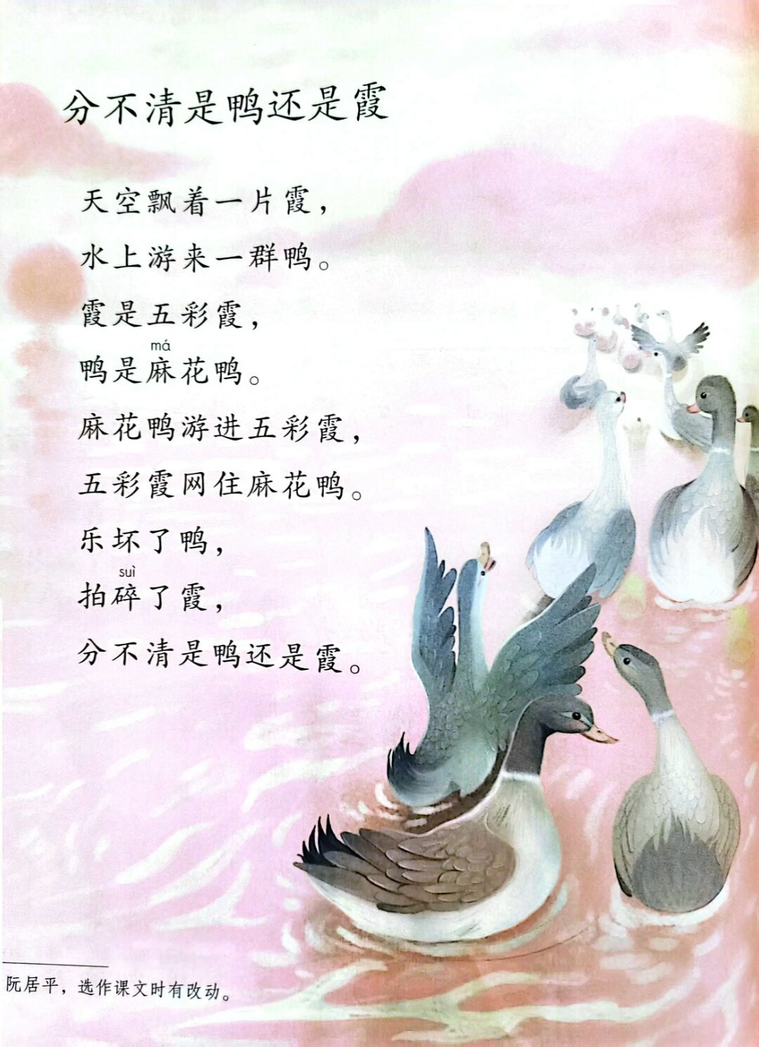 二年级上册语文朗读《分不清是鸭还是霞》