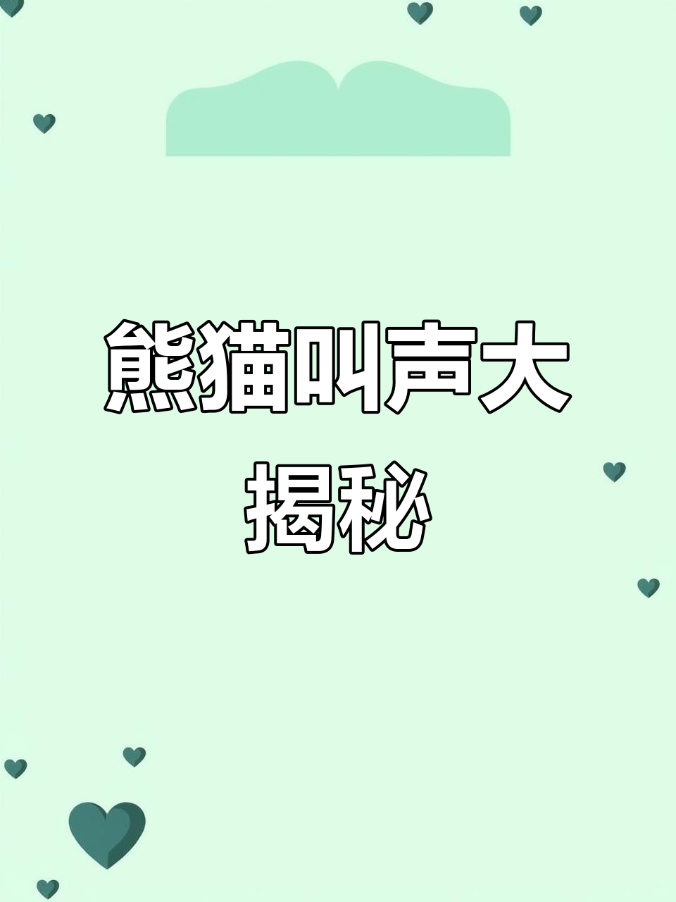 大熊猫的叫声竟然这么丰富,原来它们能发出这么多声音