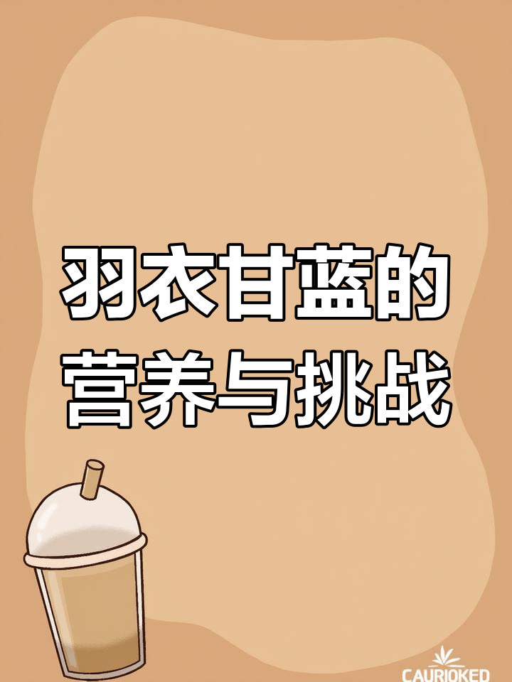 羽衣甘蓝:粗纤维丰富,营养价值高但口感不佳