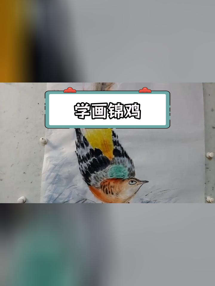 锦鸡花鸟画技巧分享