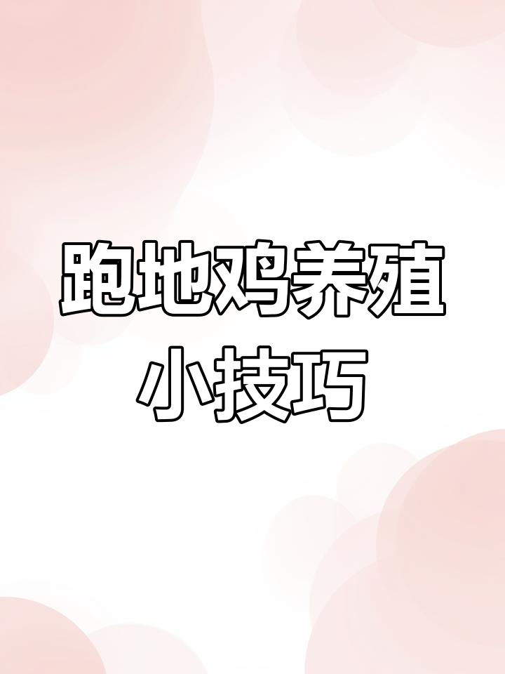 散养鸡舍设计,简单又安全,黄鼠狼不敢靠近