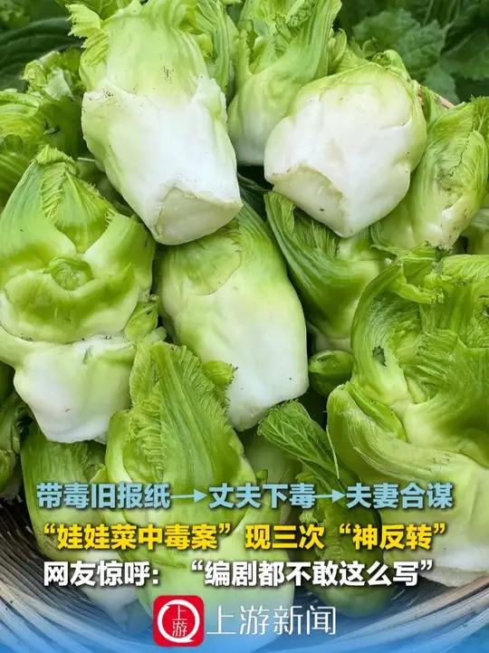 2月4日（发布），带毒旧报纸→丈夫下毒→夫妻合谋，娃娃菜中毒案现三次神反转，网友惊呼：编剧