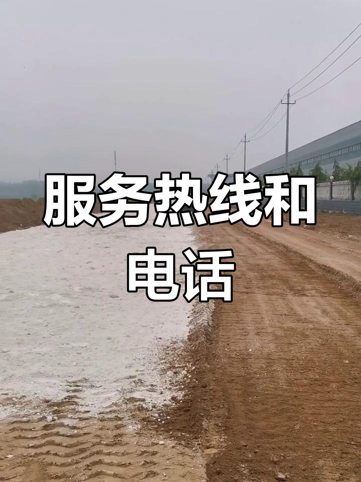 包子生产线全自动,压面、切割、成型一气呵成