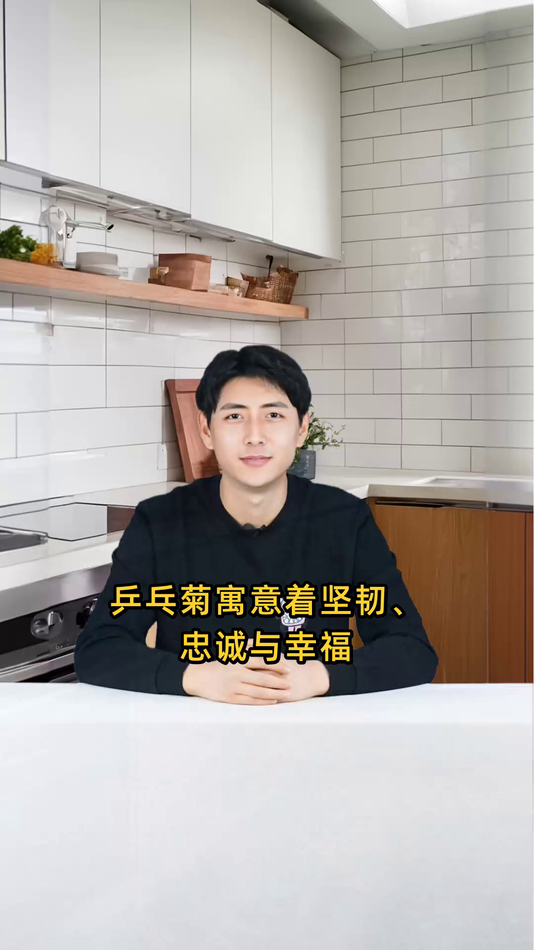 乒乓菊寓意坚韧忠诚与幸福,象征团圆美满与爱情长久