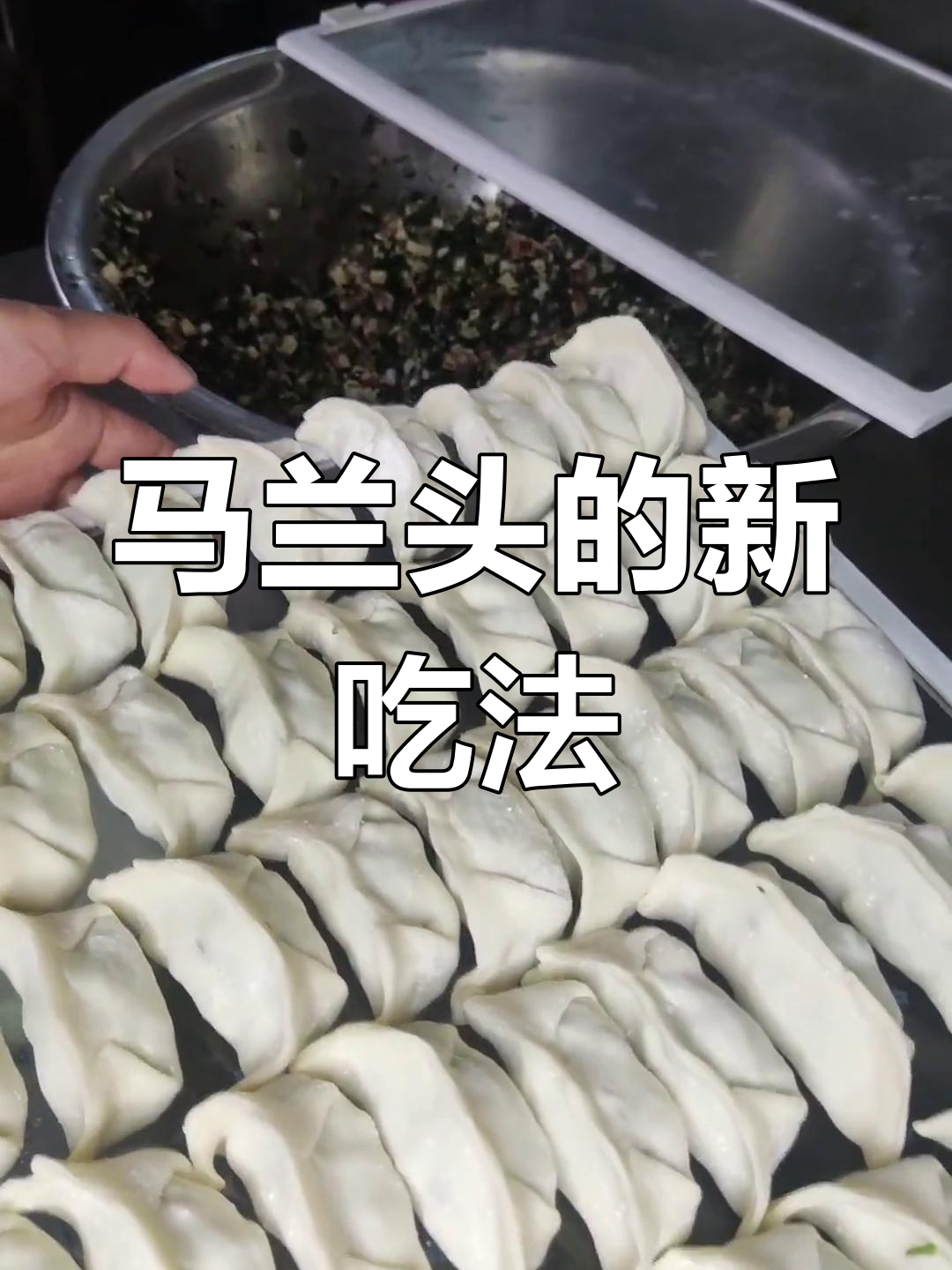 采了马兰头,集市无人问津,索性做个饺子馅试试