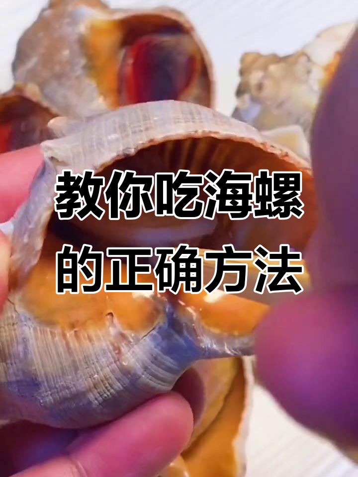 海螺煮法全揭秘,哪些能吃、哪些不能碰