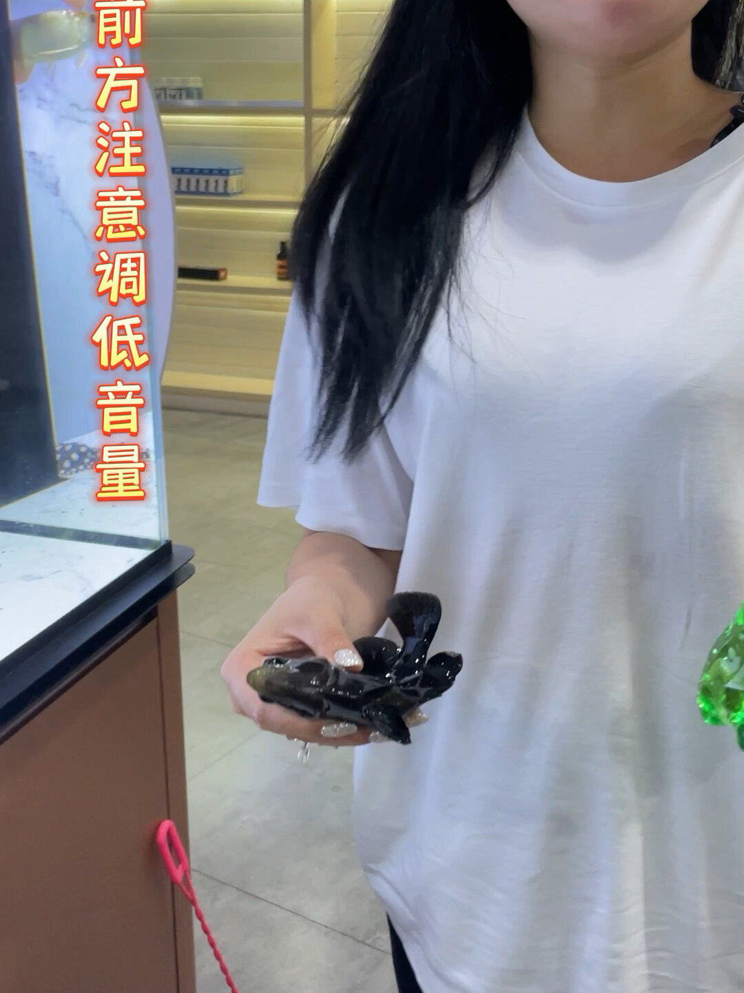 雪碧能让虎鱼变明?