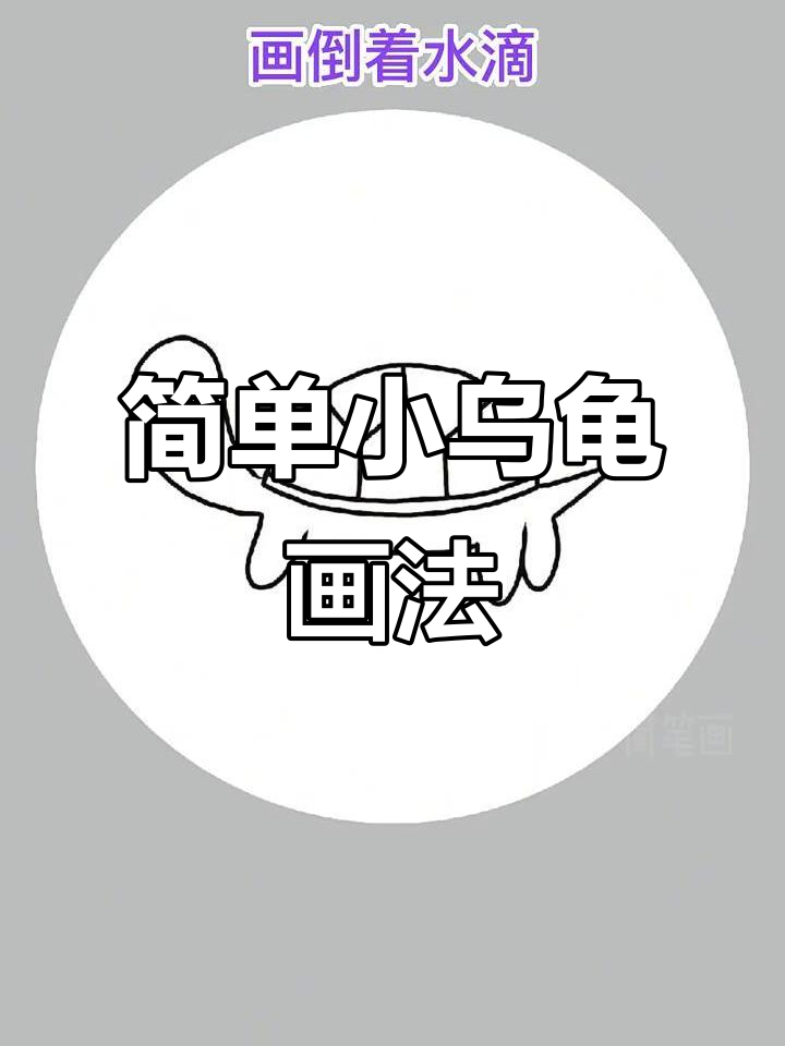 小乌龟简笔画,轻松学会画可爱小动物