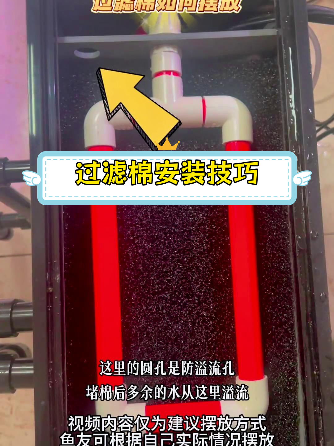 鱼缸过滤棉放置全攻略