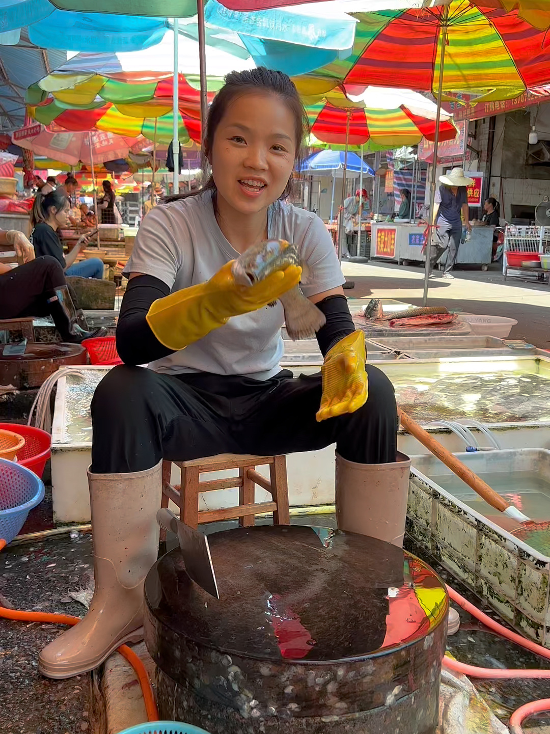 盲曹鱼|可以和鲈鱼聘美的清蒸好食材