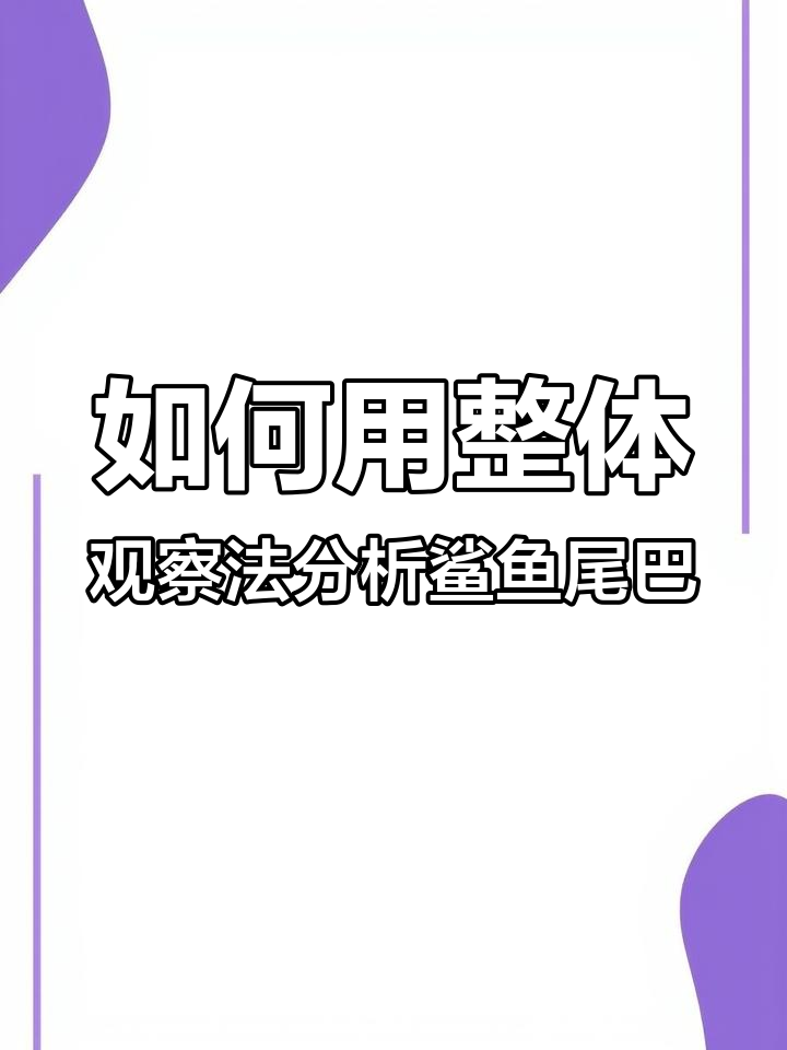整体观察法揭秘:如何判断鲨鱼尾巴的亮暗关系
