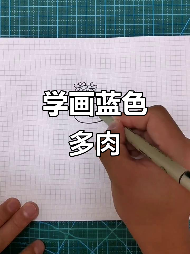 轻松学画蓝色多肉植物，简单又有趣！