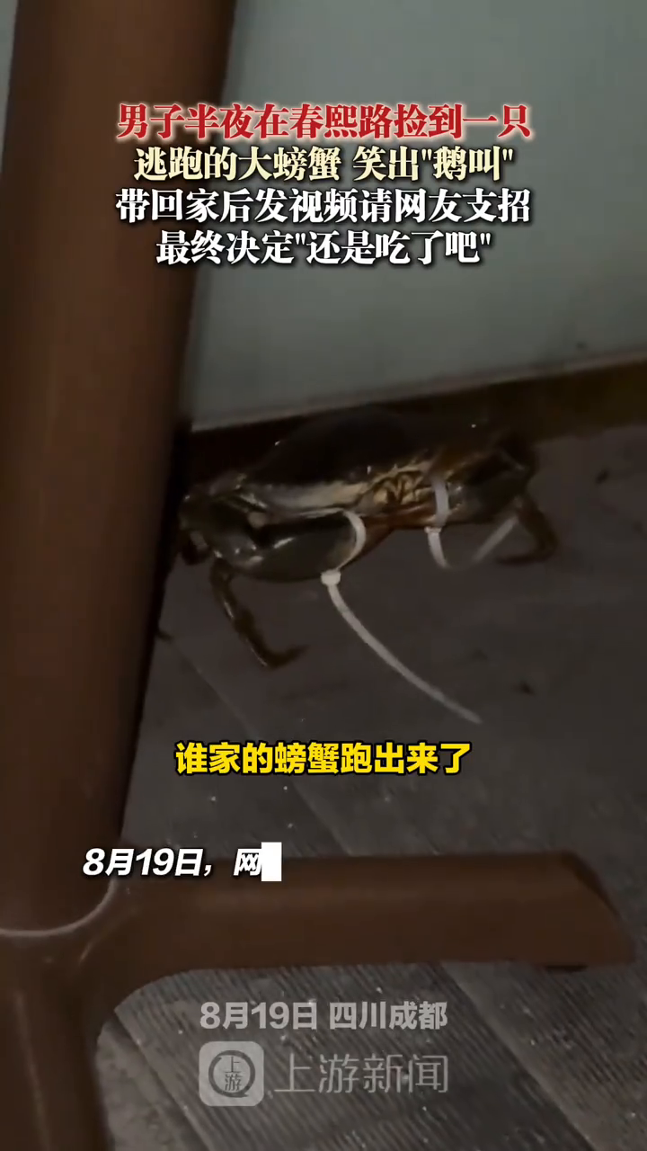 男子半夜捡到一只逃跑的大螃蟹笑出“鹅叫”