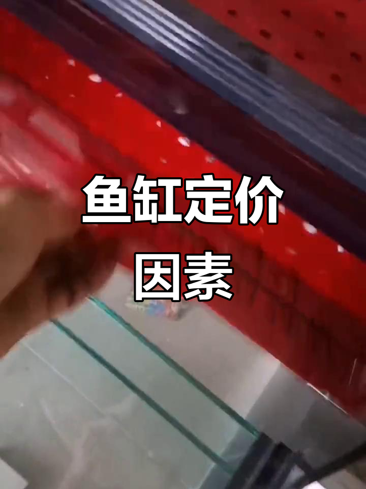 鱼缸价格并非只看尺寸,材料和配置才是关键