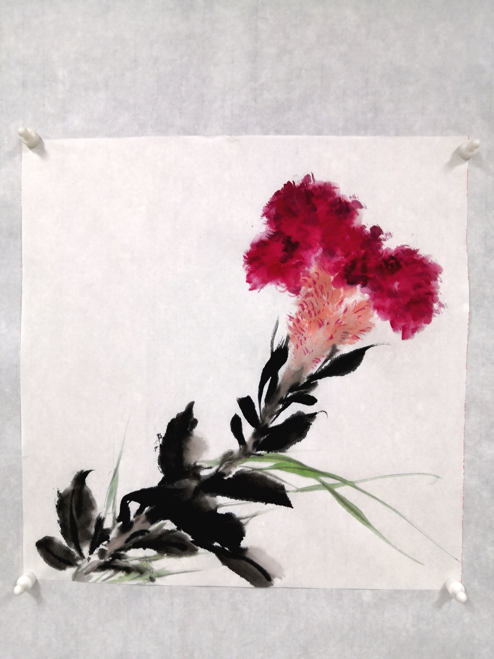 中国画写意花鸟画—鸡冠花的画法