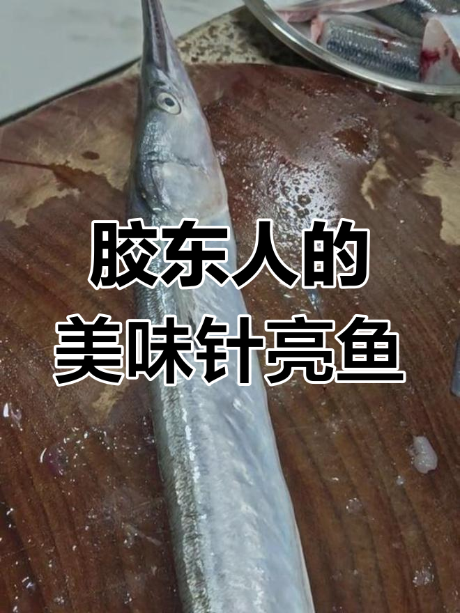 山东特产针亮鱼,东北人不敢吃