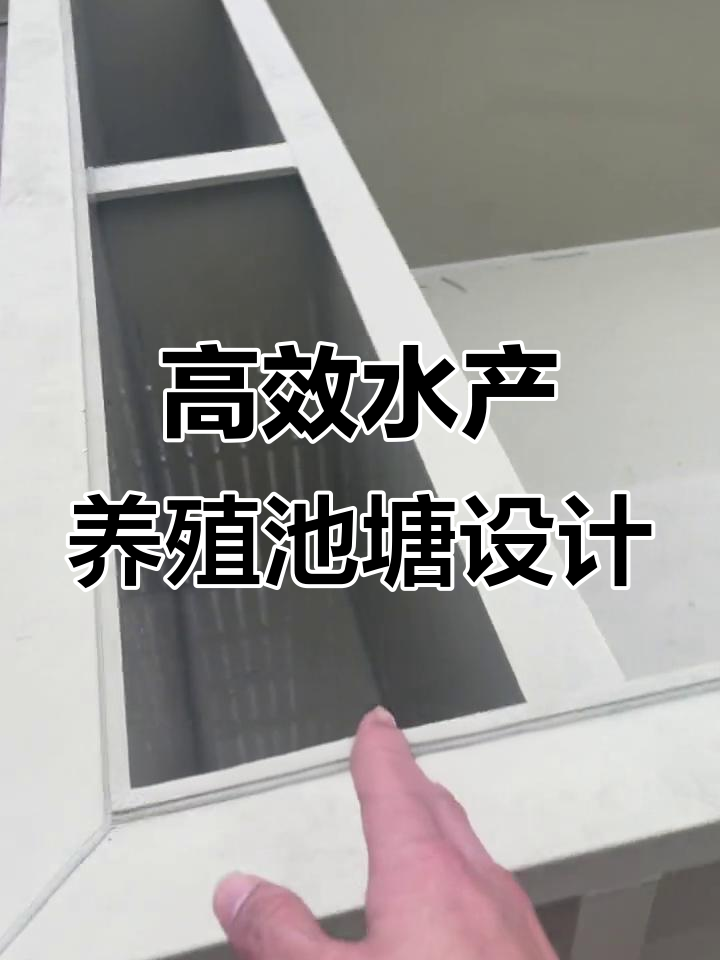 水产养殖鱼苗方形池设计揭秘:进水口、排污隔网全解析