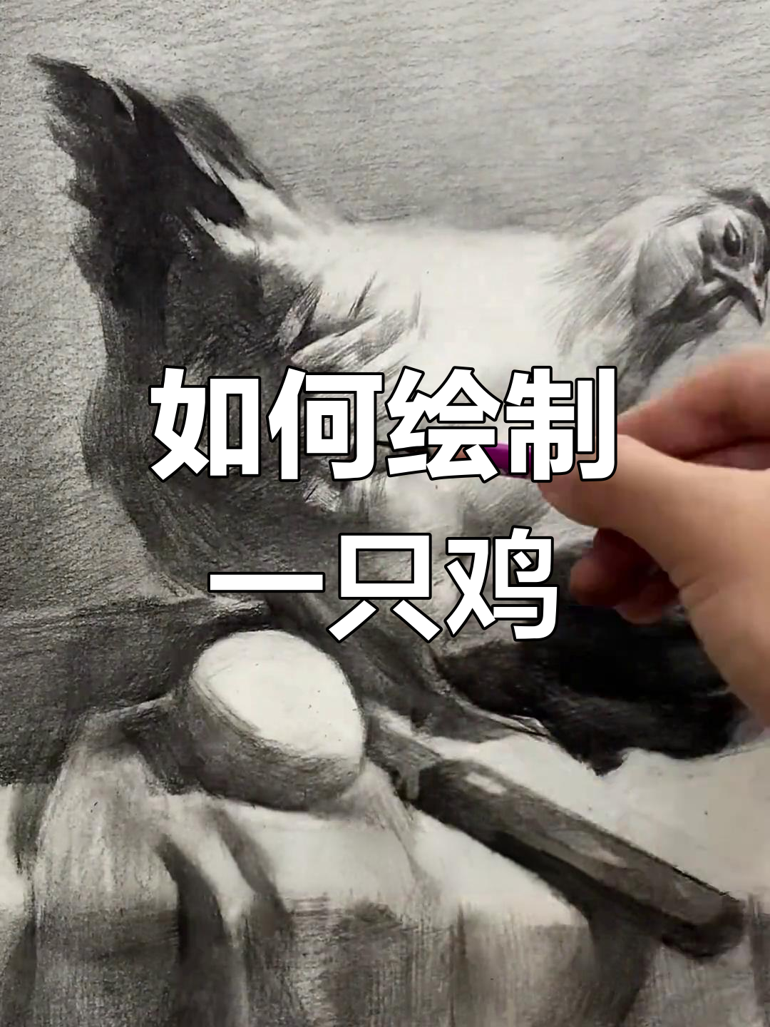 素描画鸡技巧全解析