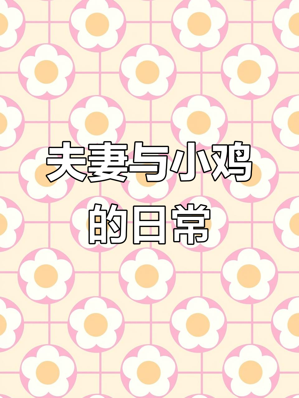 公鸡母鸡成对出现,笨鸡独自玩手机