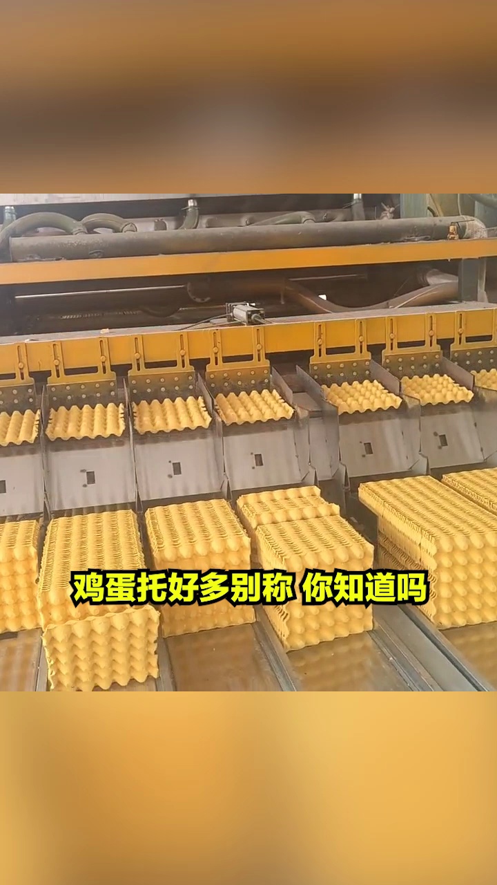 用于保护鸡蛋的蛋托,你知道是如何生产的吗?蛋托成型机 鸡蛋蛋托 全自动蛋托机