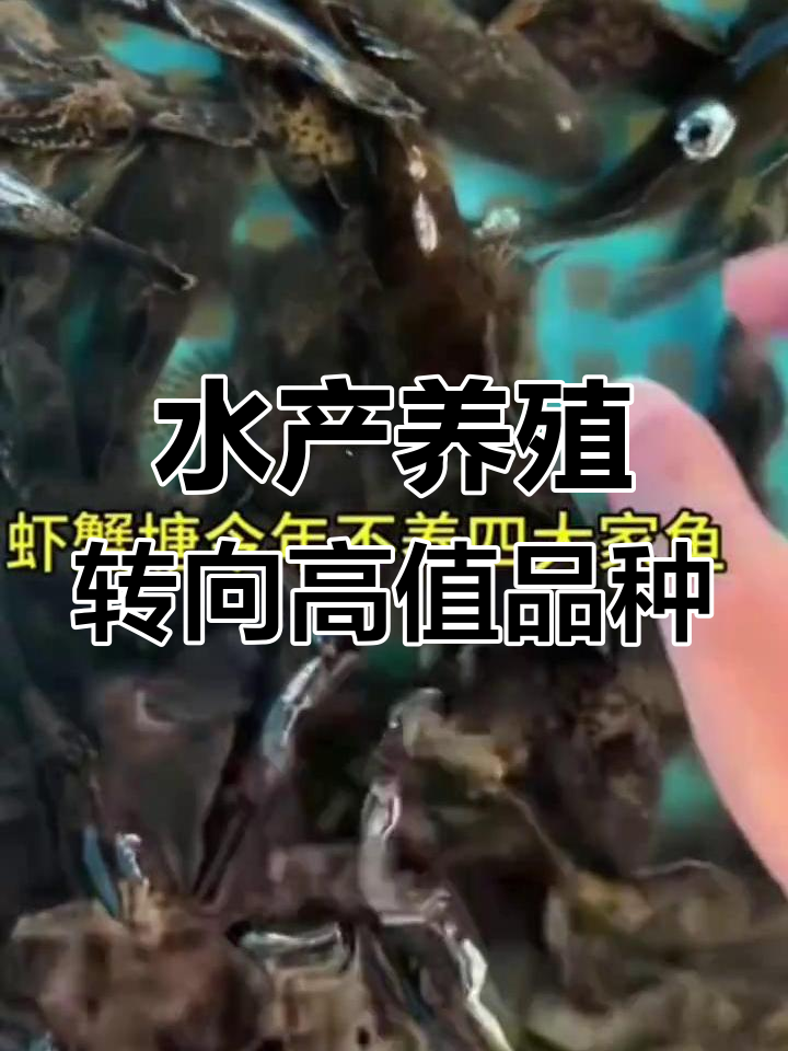 江浙沪水产养殖新趋势:不养四大家鱼,转而专注高价值品种